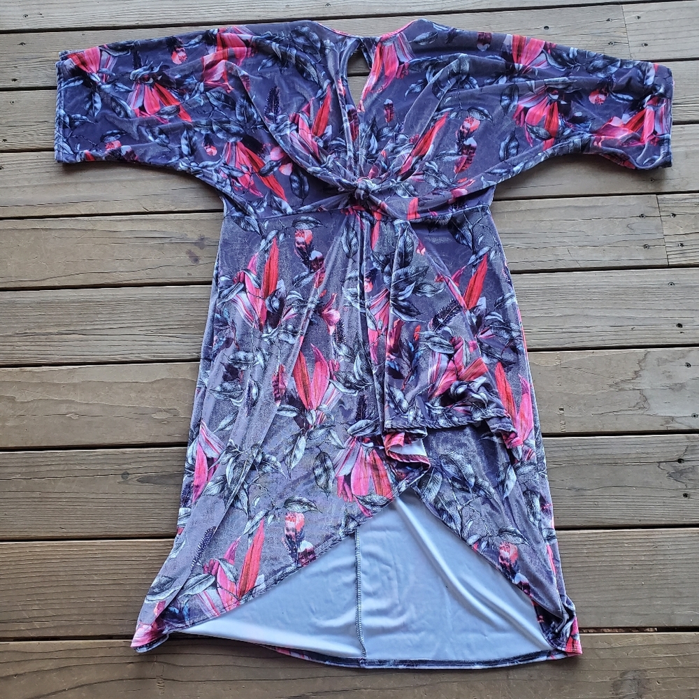 Gorgeous Velour Dress